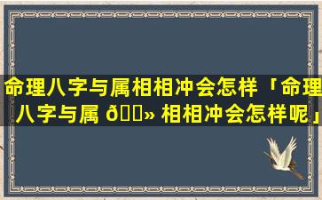 命理八字与属相相冲会怎样「命理八字与属 🌻 相相冲会怎样呢」